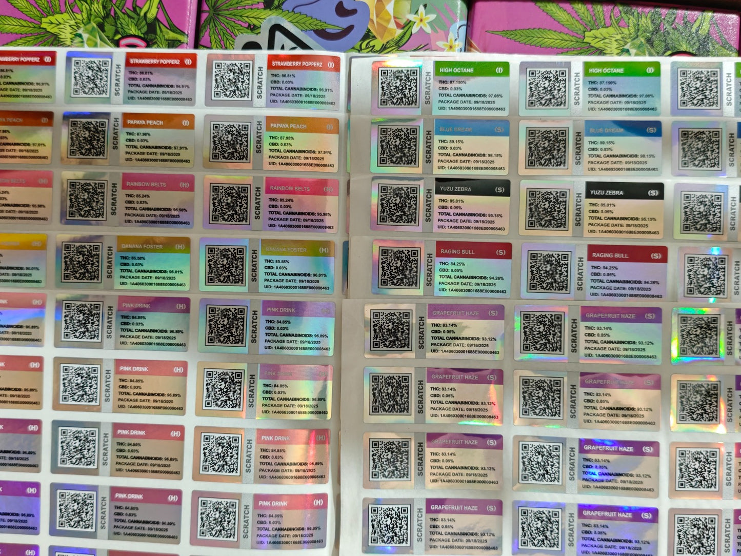 Packwoods x RUNTZ Disposable Empty Vapes - 1g - 1 Box (50 Vapes)